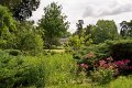 0081Arboretum de Balaine